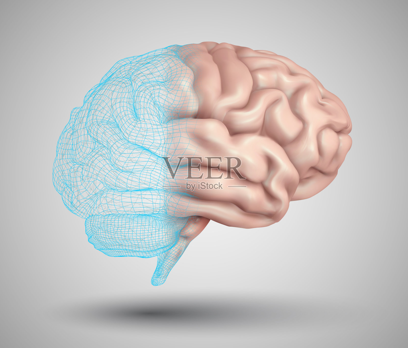 人脑和抽象设计元素。网格向量设计元素图片