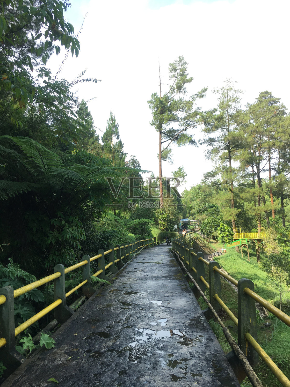 自然照片摄影图片