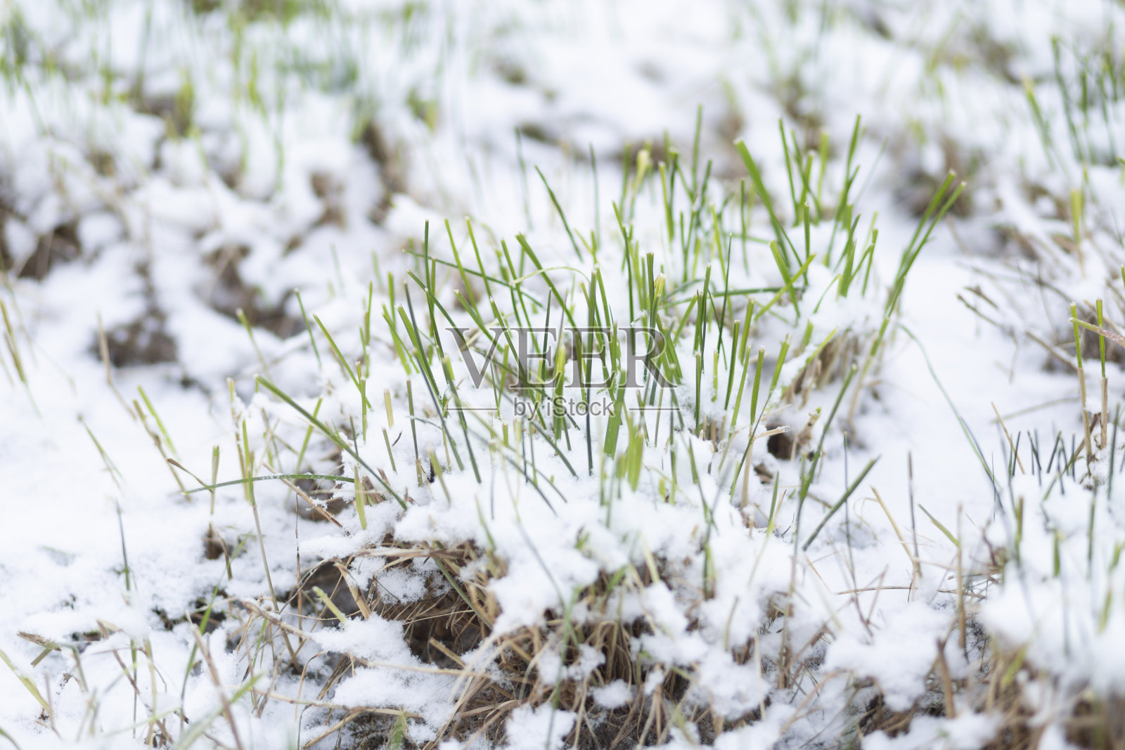 夏天有雪和冰雹。照片摄影图片