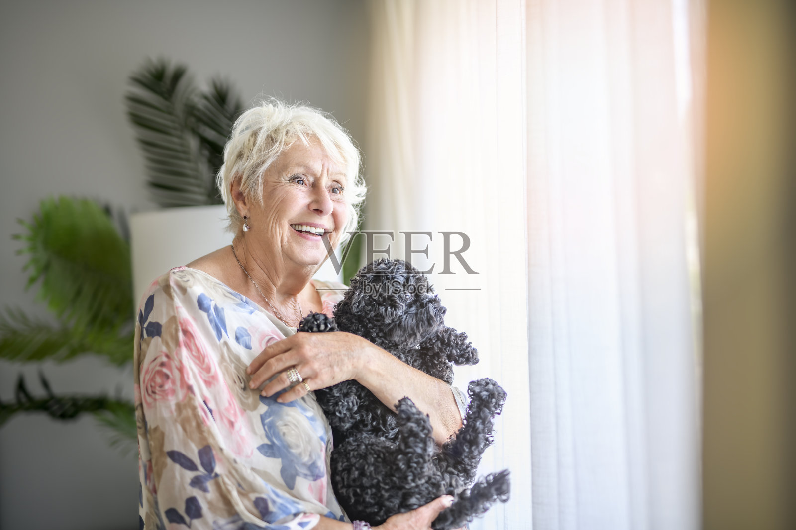 可爱的老妇人，客厅里有贵宾犬照片摄影图片