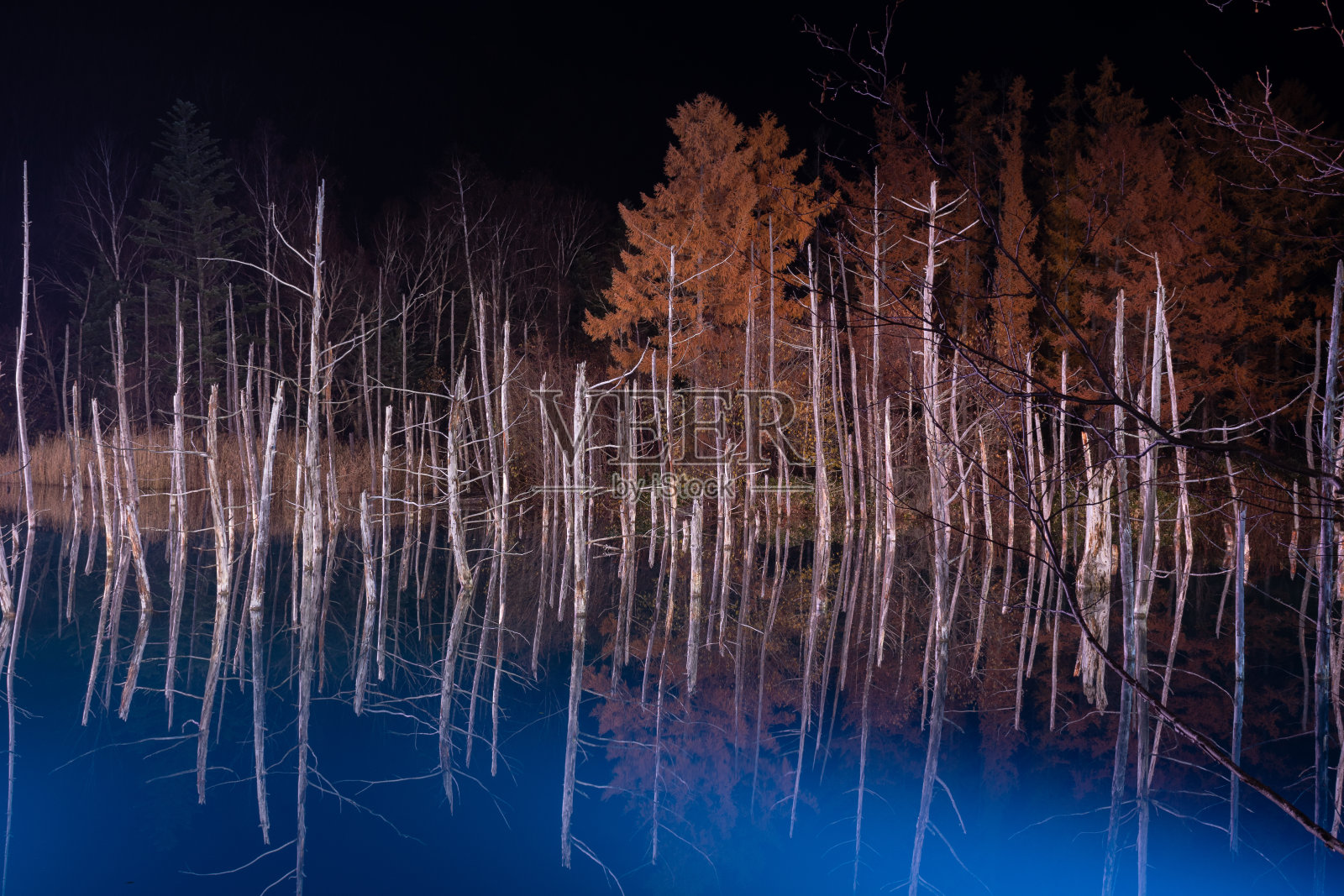 初冬里被照亮的蓝色池塘照片摄影图片