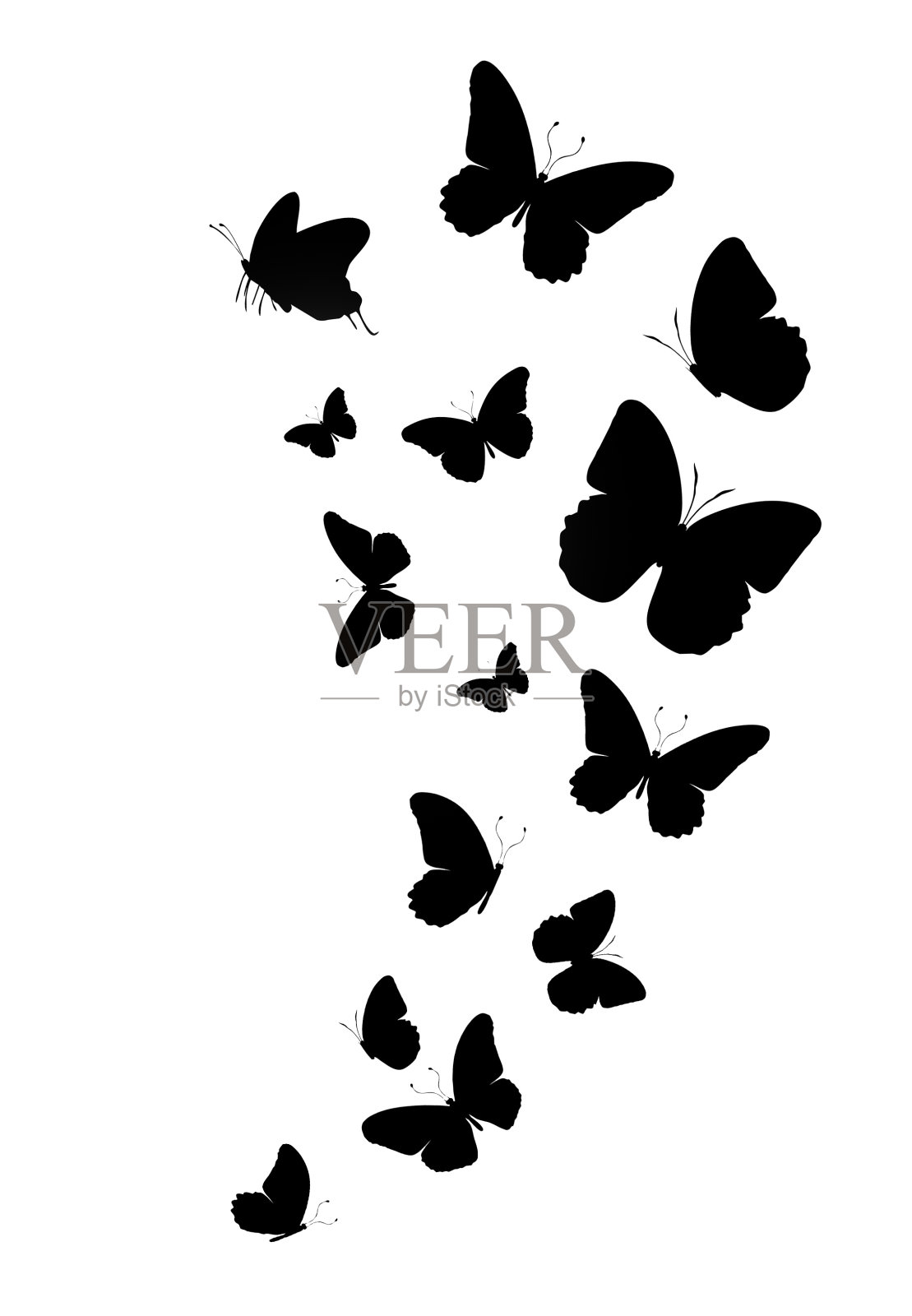 白色背景上的一群剪影黑色蝴蝶。向量设计元素图片