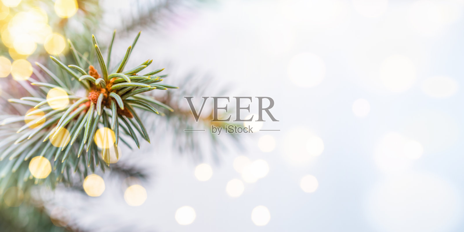 绿色的冷杉树树枝与节日bokeh在光的背景。宽的水平横幅与复制空间。冬季和圣诞节的概念照片摄影图片