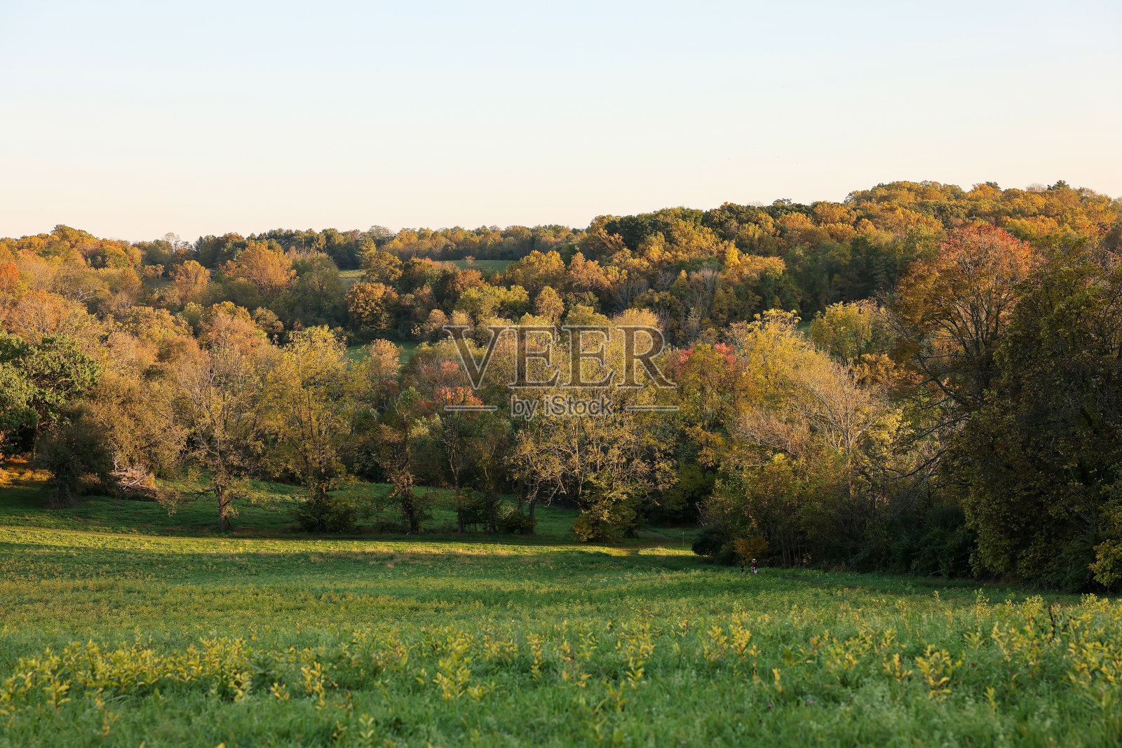 美国宾夕法尼亚州西切斯特，秋天日落前斯特劳德保护区的美丽景色照片摄影图片