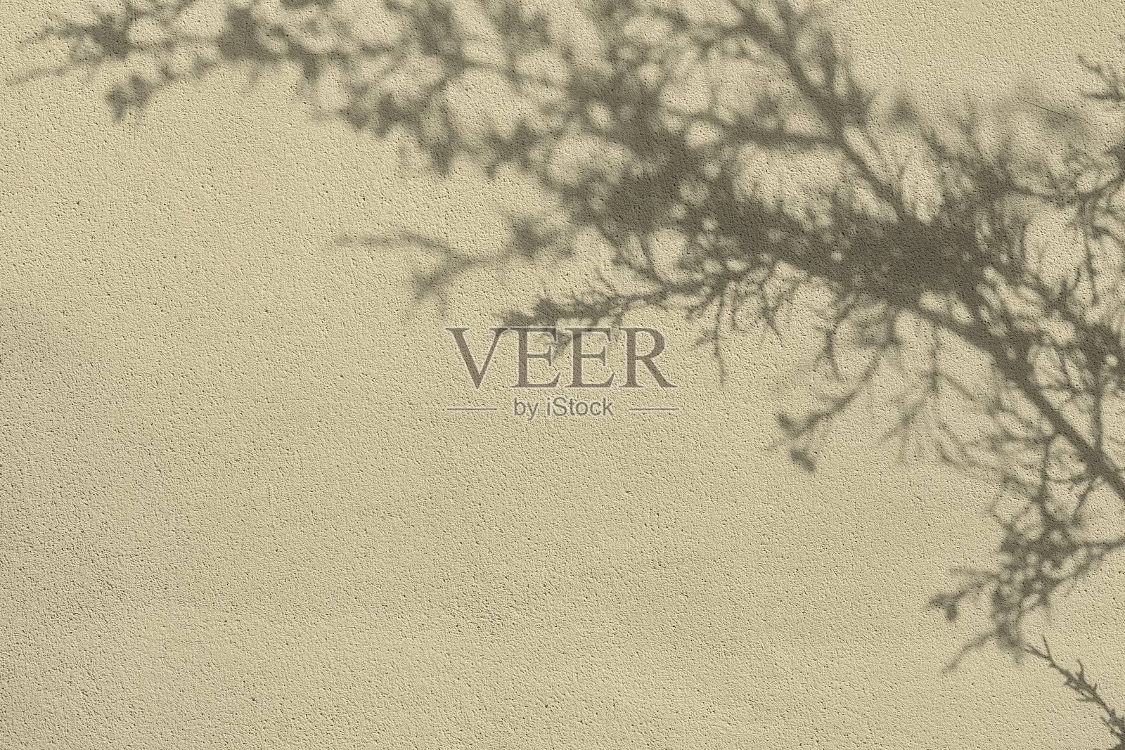 树叶的影子在米色混凝土墙纹理背景照片摄影图片