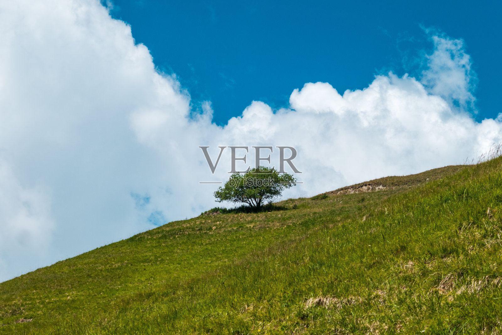 夏天美丽的奥斯塔山谷照片摄影图片