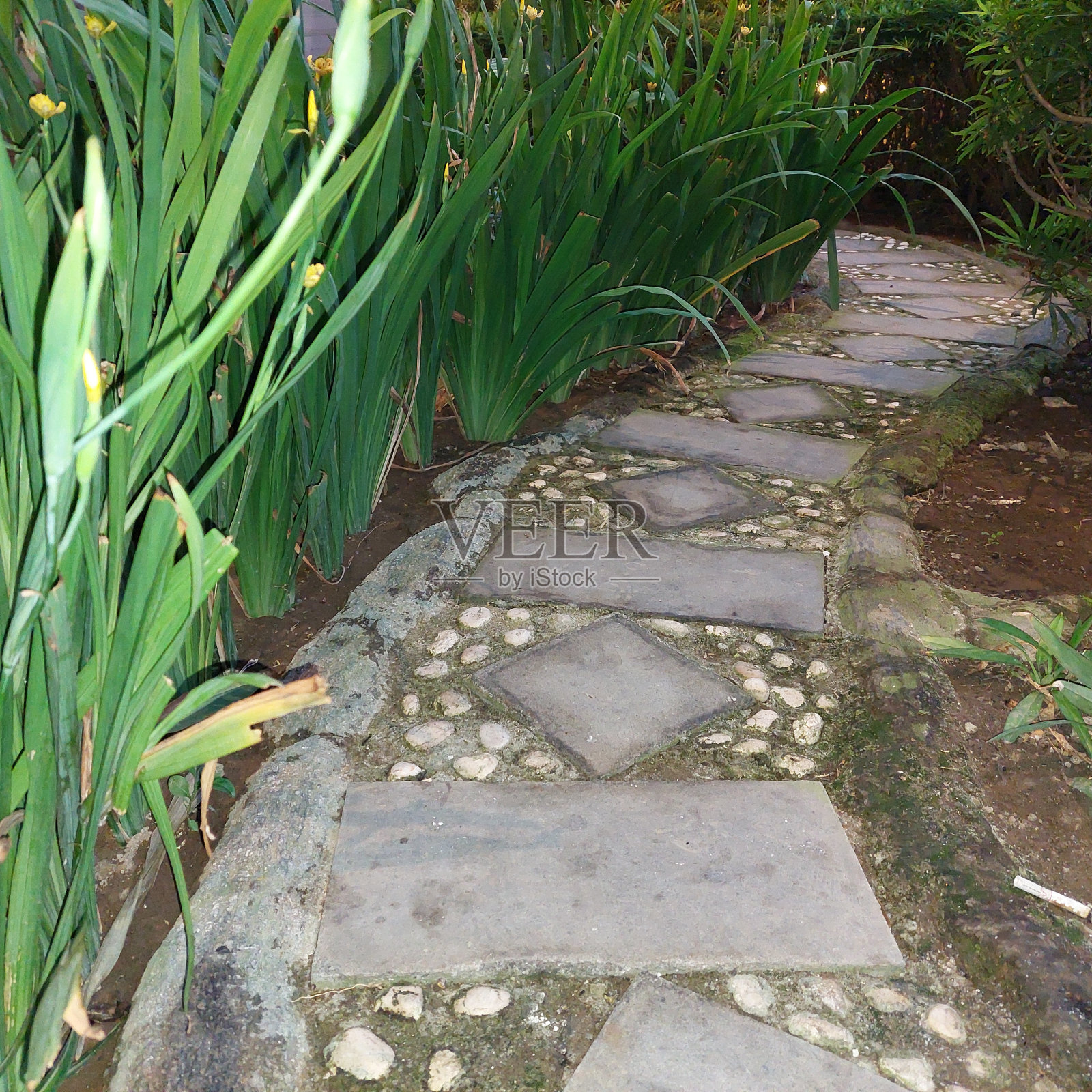 公园中央的一条小路照片摄影图片