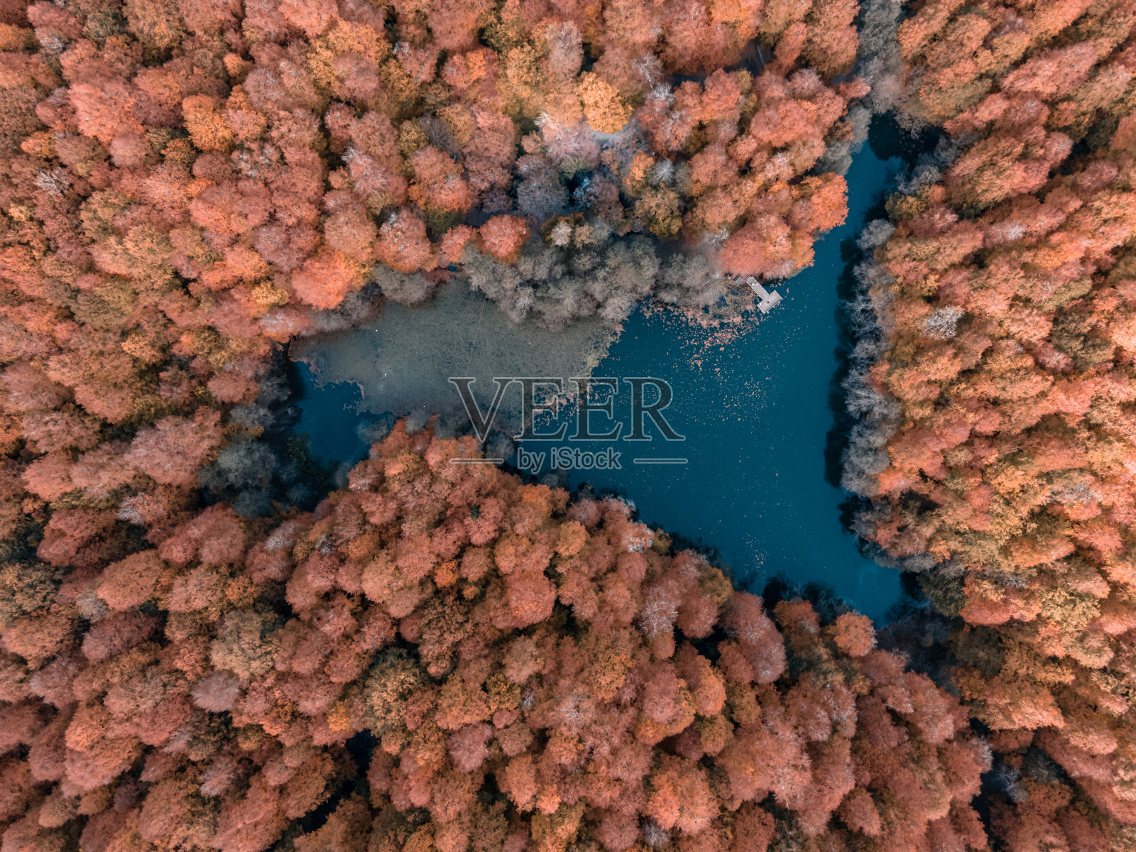 土耳其博鲁的耶迪戈勒国家公园。秋季无人机照片照片摄影图片