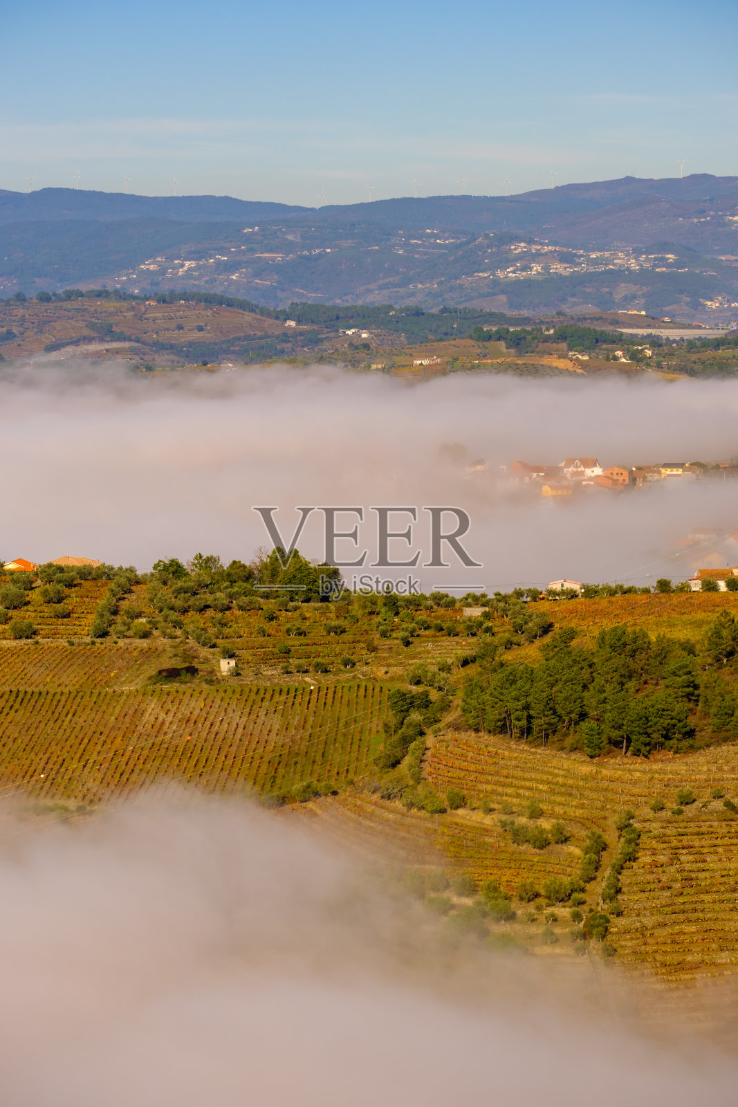 São Leonardo da Galafura在杜洛山谷的视角，雾使你看不到杜洛河照片摄影图片