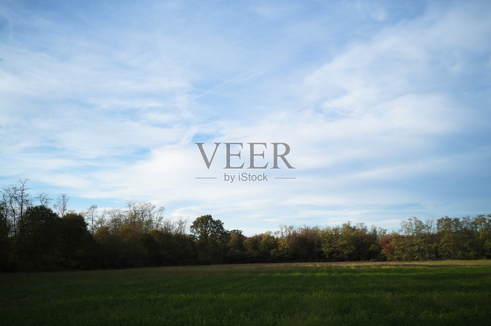 公园在秋天照片摄影图片