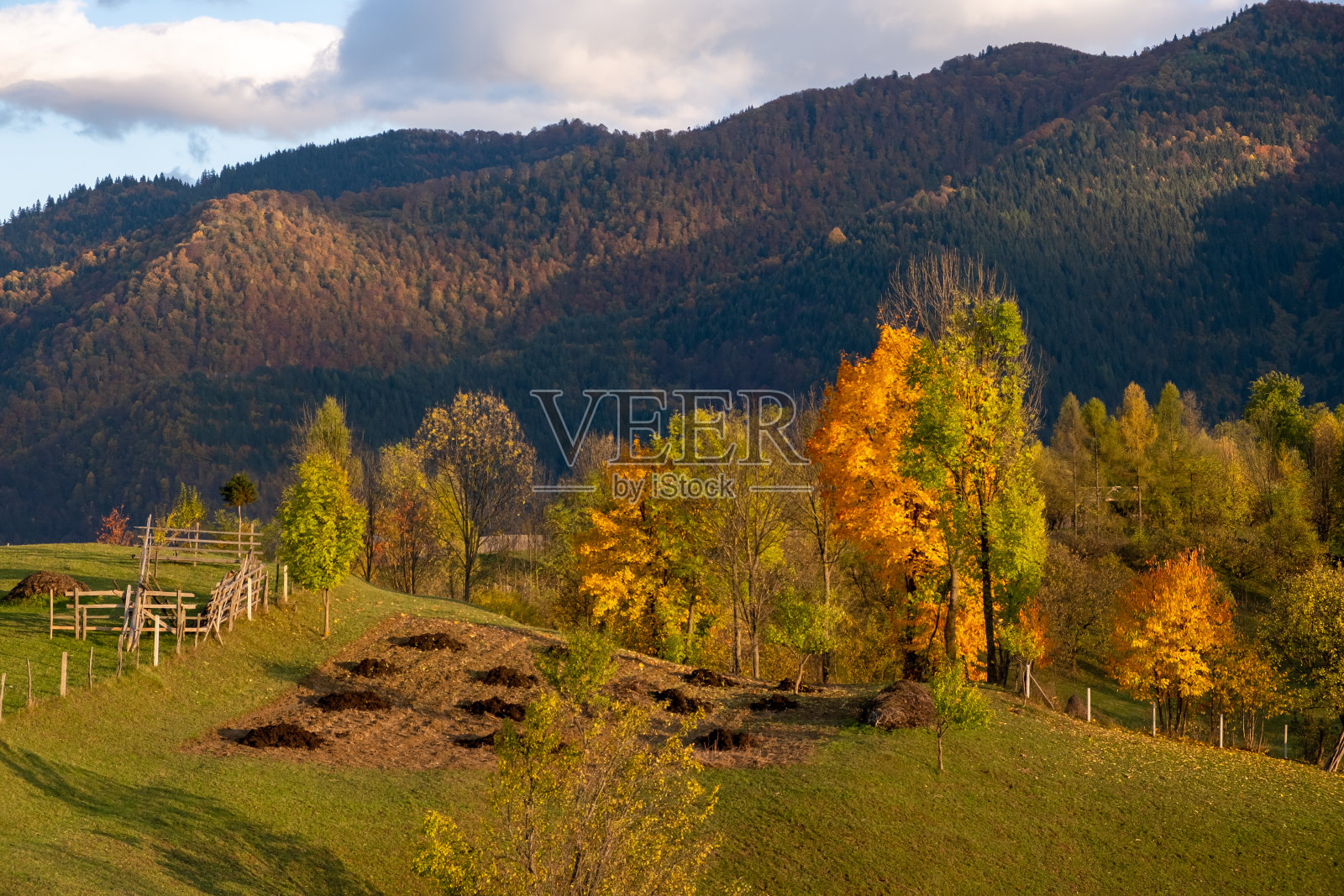秋天的风景照片摄影图片