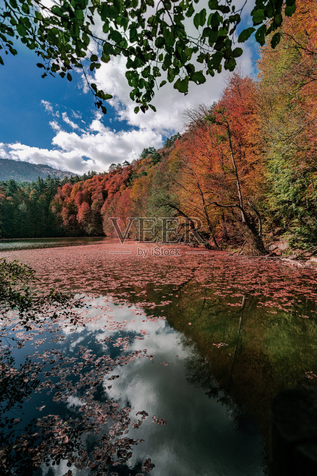 土耳其的耶迪戈勒国家公园。森林深处的秋景中，色彩斑斓的树木和步道。森林里的秋色构成了一幅壮丽的景色。大自然的秋景。照片摄影图片