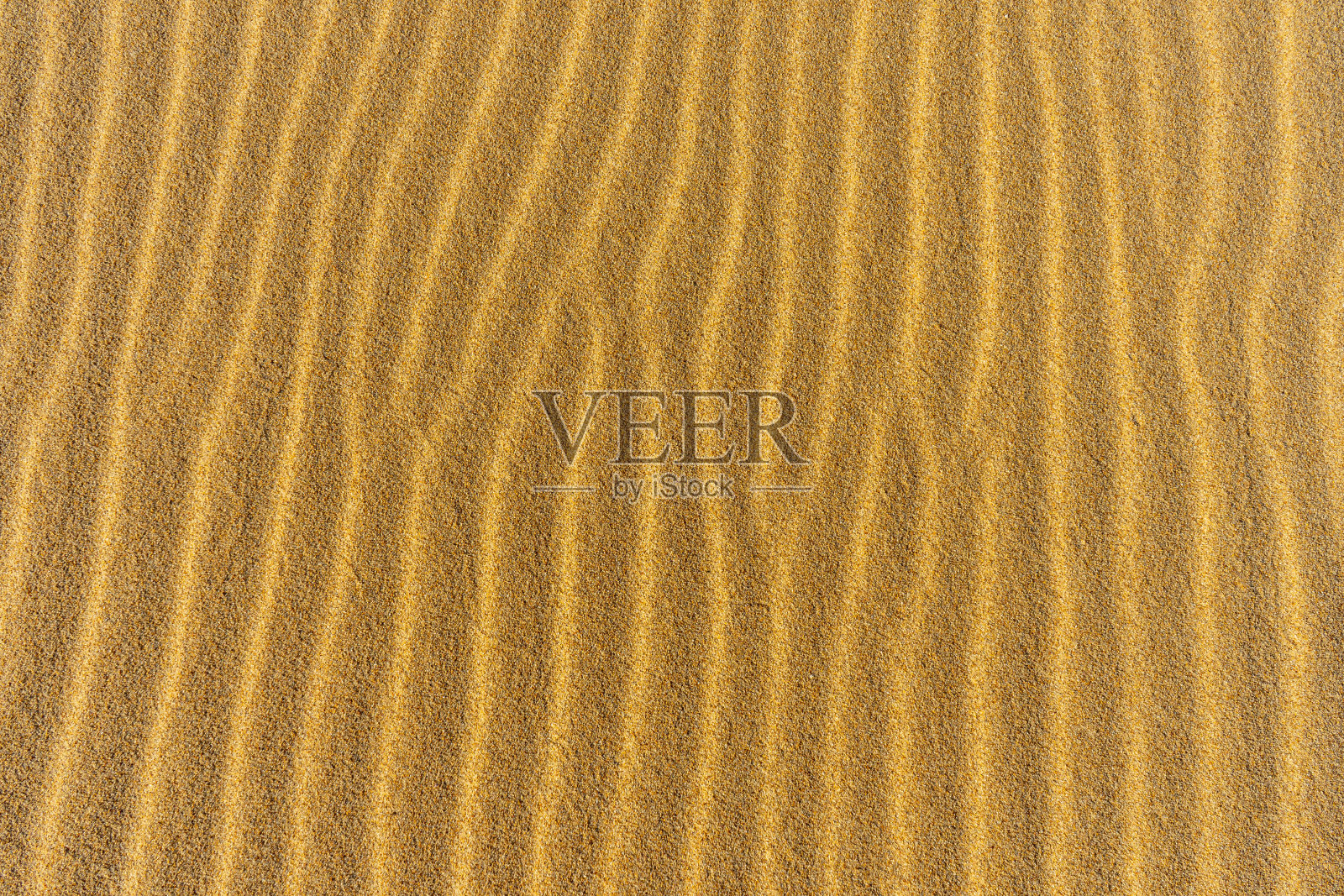 金砂照片摄影图片