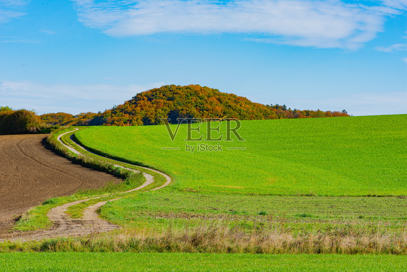 种植场照片摄影图片