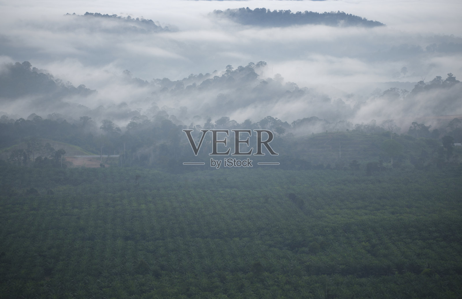 云海照片摄影图片