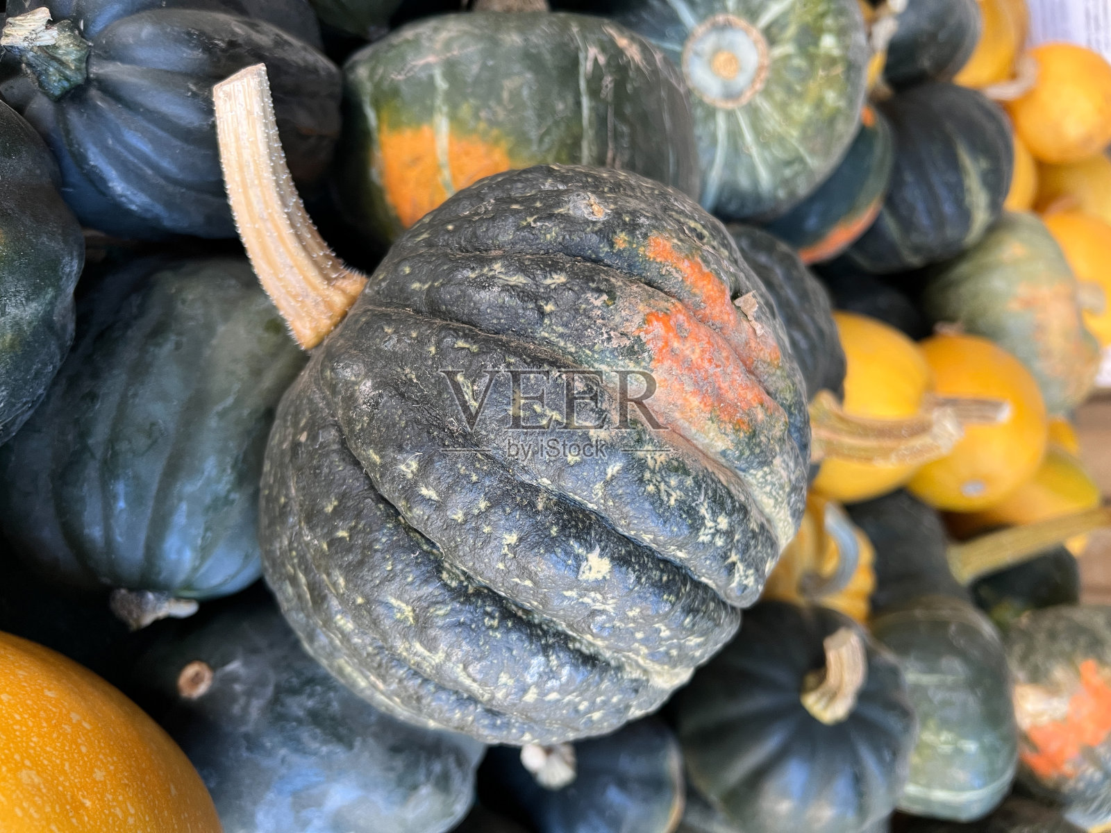 南瓜和葫芦照片摄影图片