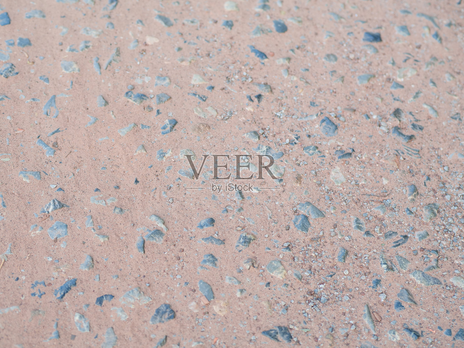 地板上照片摄影图片