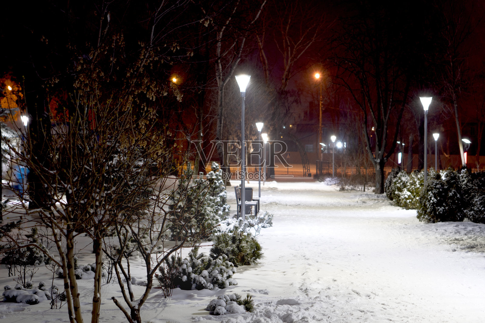 城市公园里的冬日巷子。晚上的风景。照片摄影图片