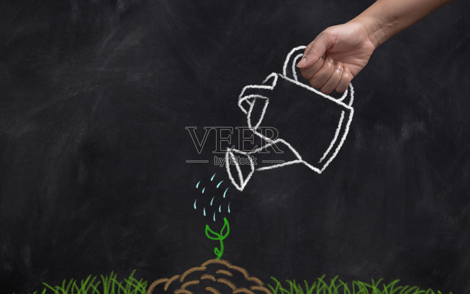 特写手在黑板上拿着浇水壶用粉笔画在绿色芽。照片摄影图片