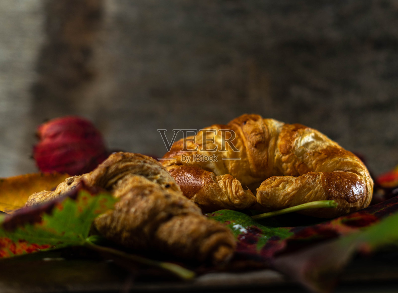 秋天的牛角面包照片摄影图片