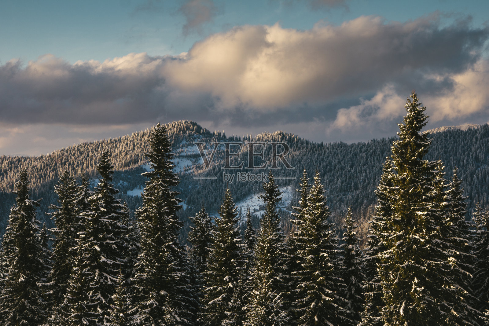 冬天山上日落时的风景。白雪覆盖着树木繁茂的山峰。照片摄影图片