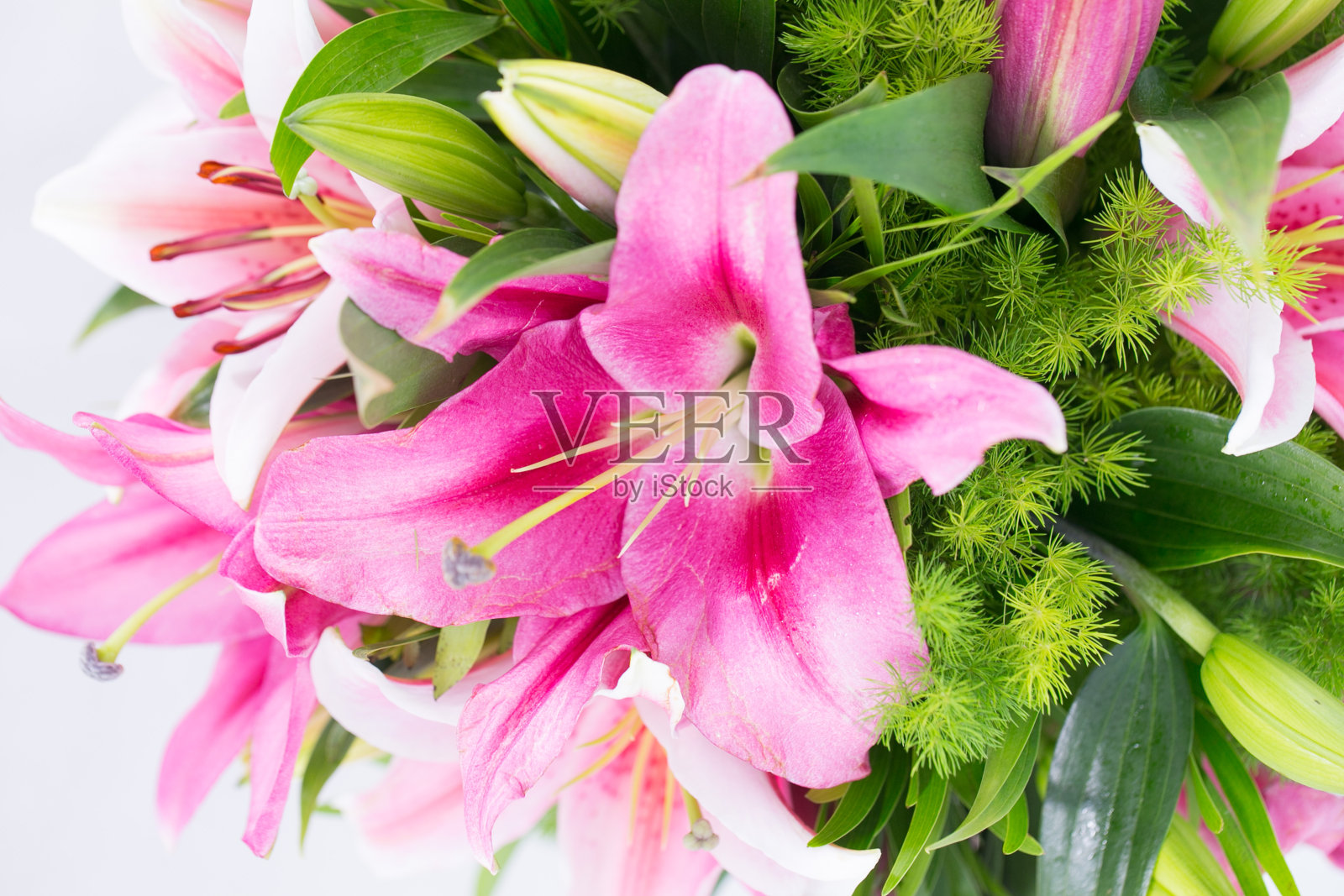 多种花卉图像清晰拍摄和微距拍摄，看画面细节照片摄影图片