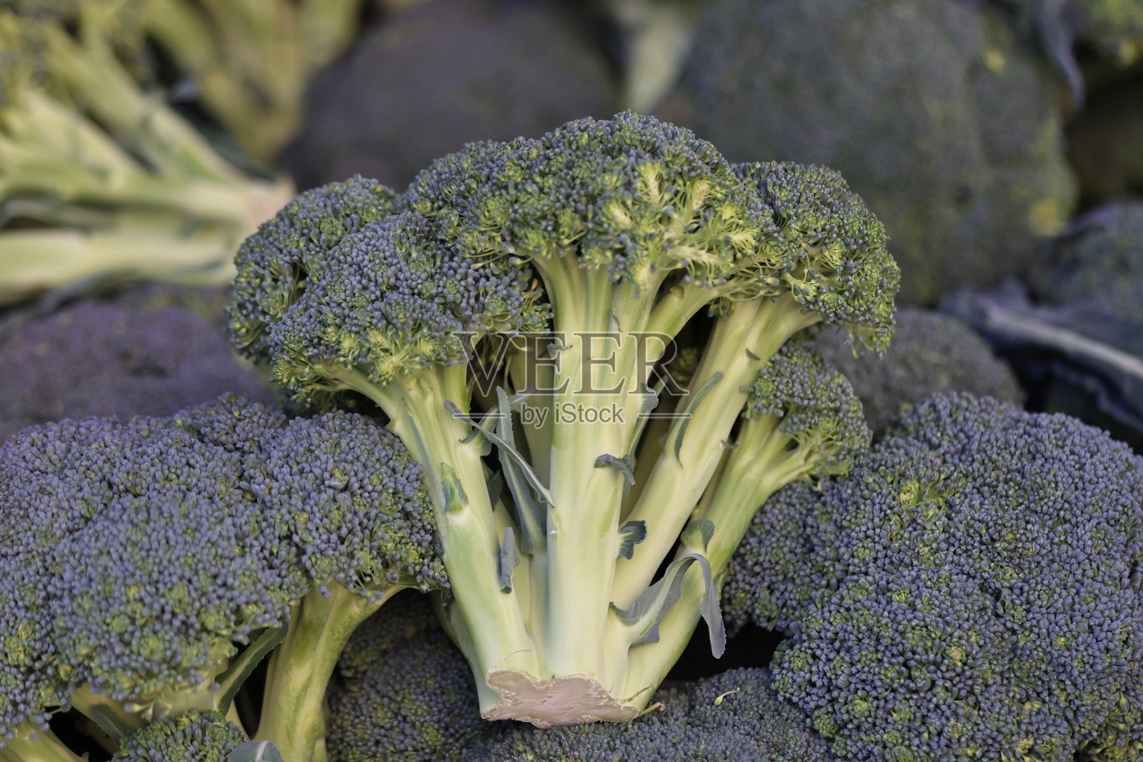 农贸市场照片摄影图片