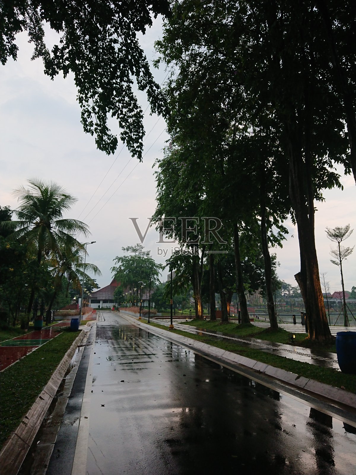 晚上雨后的柏油路照片摄影图片