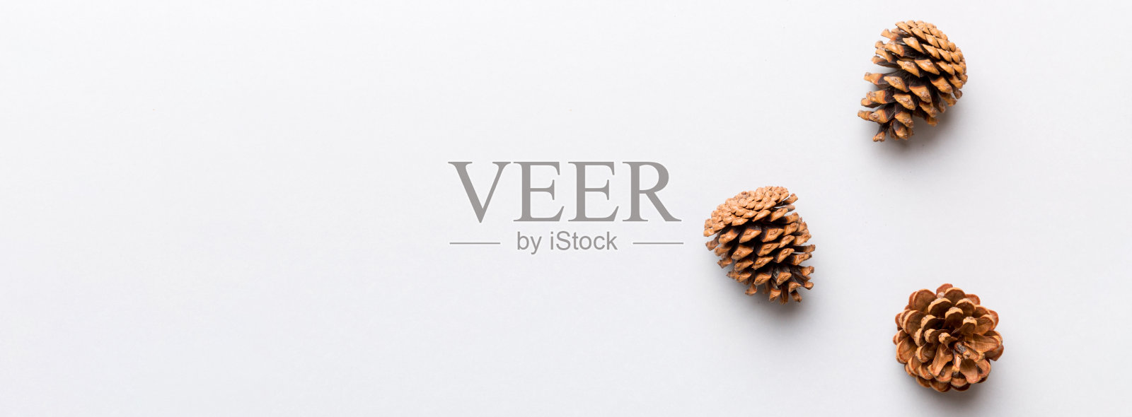 圣诞松果彩纸镶边构图。圣诞节，新年，冬天的概念。平铺，俯视图，复制空间照片摄影图片