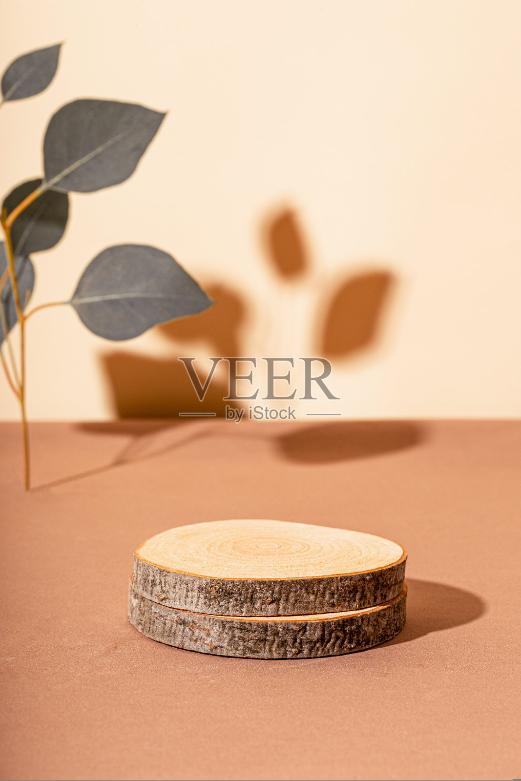 一个木制讲台和一棵桉树的树枝，垂直合影。美容产品模型照片摄影图片