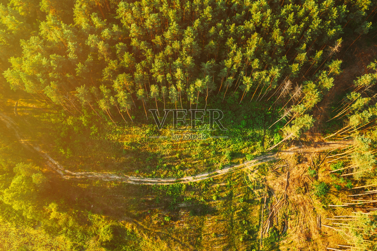 穿过秋天森林公园的小路。松林和河流鸟瞰图。秋天傍晚日落时森林河流景观的高架视图照片摄影图片