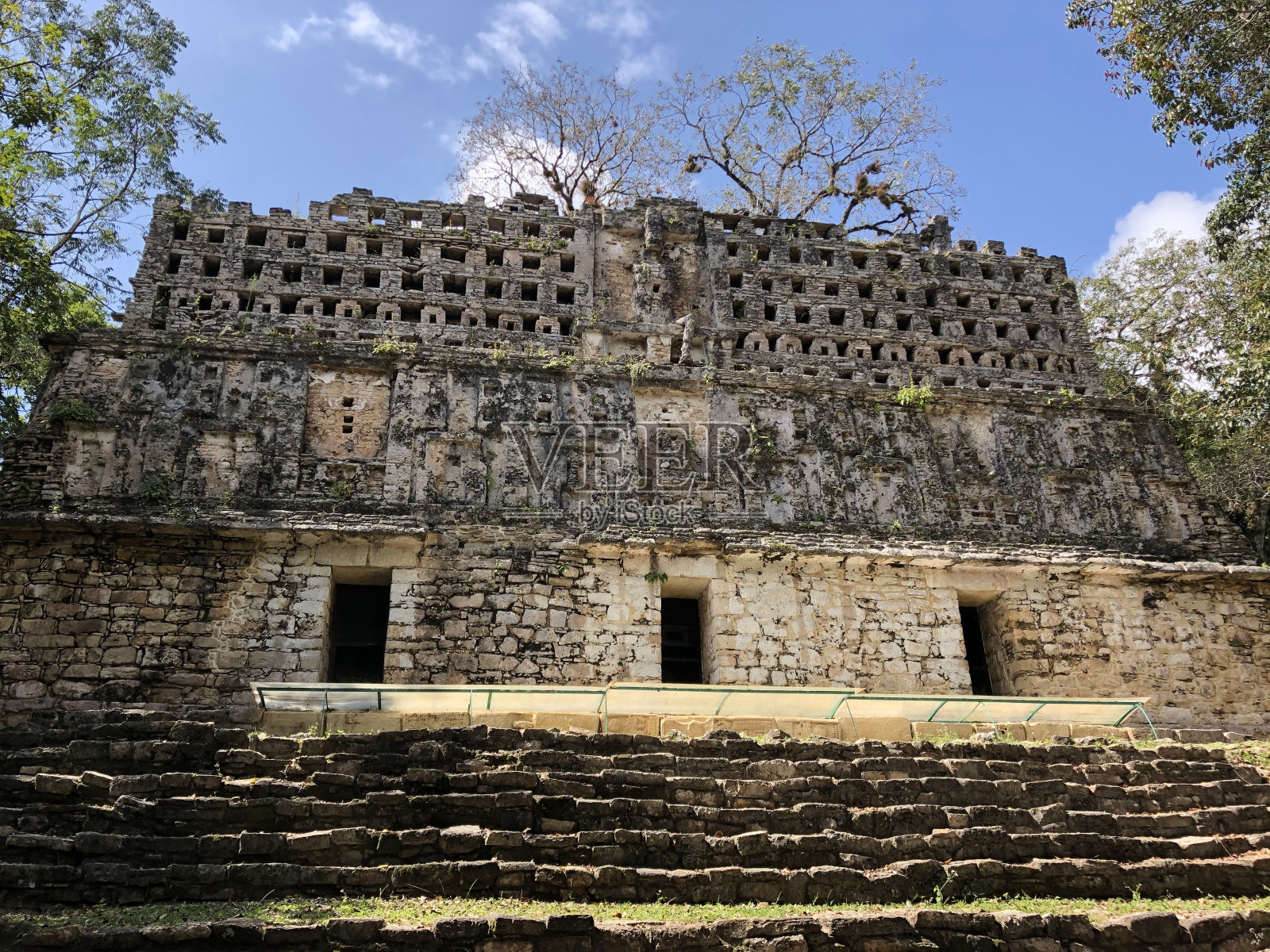 兰照片摄影图片