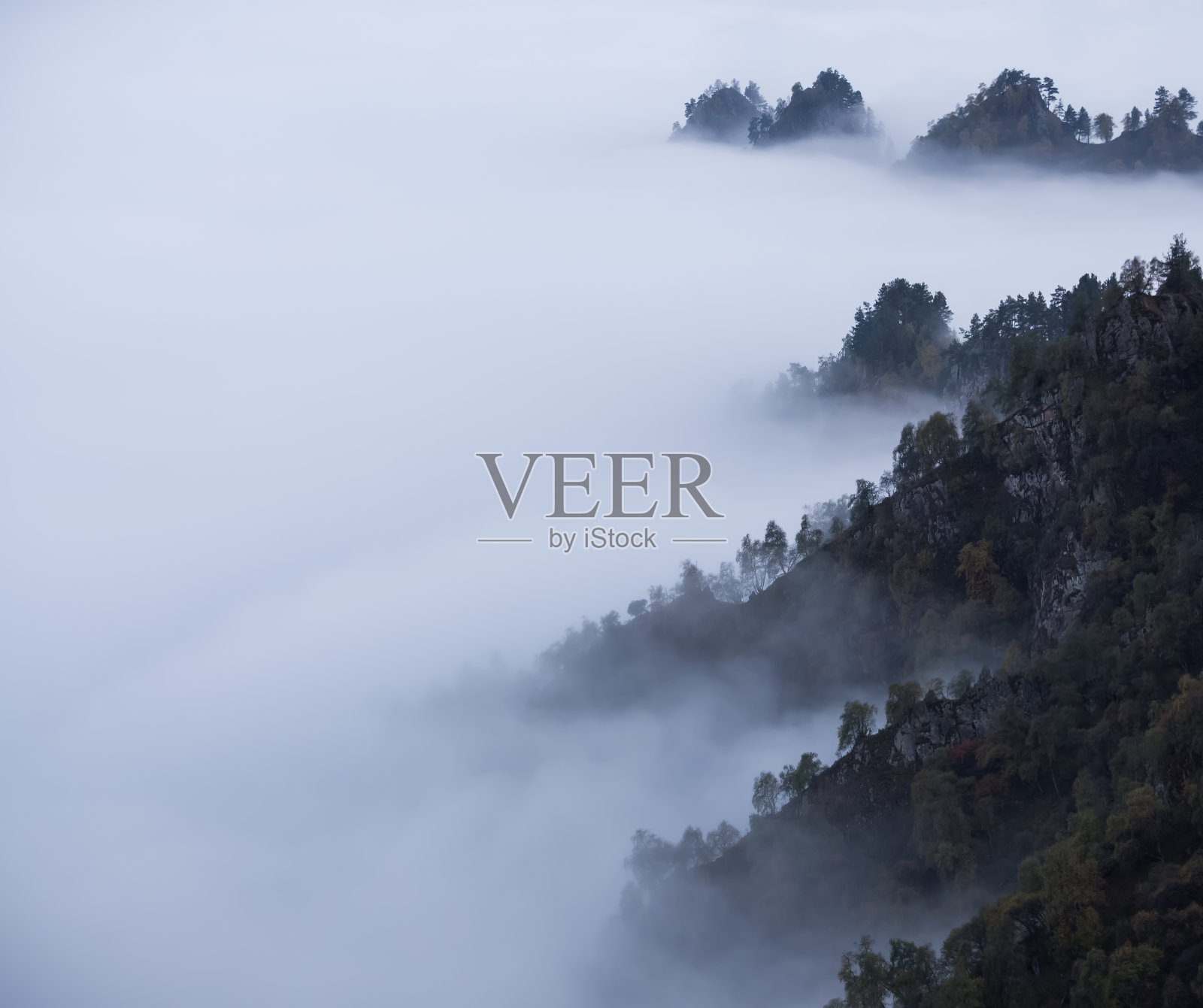 山中有雾，山峡中有云，山上长满了树照片摄影图片