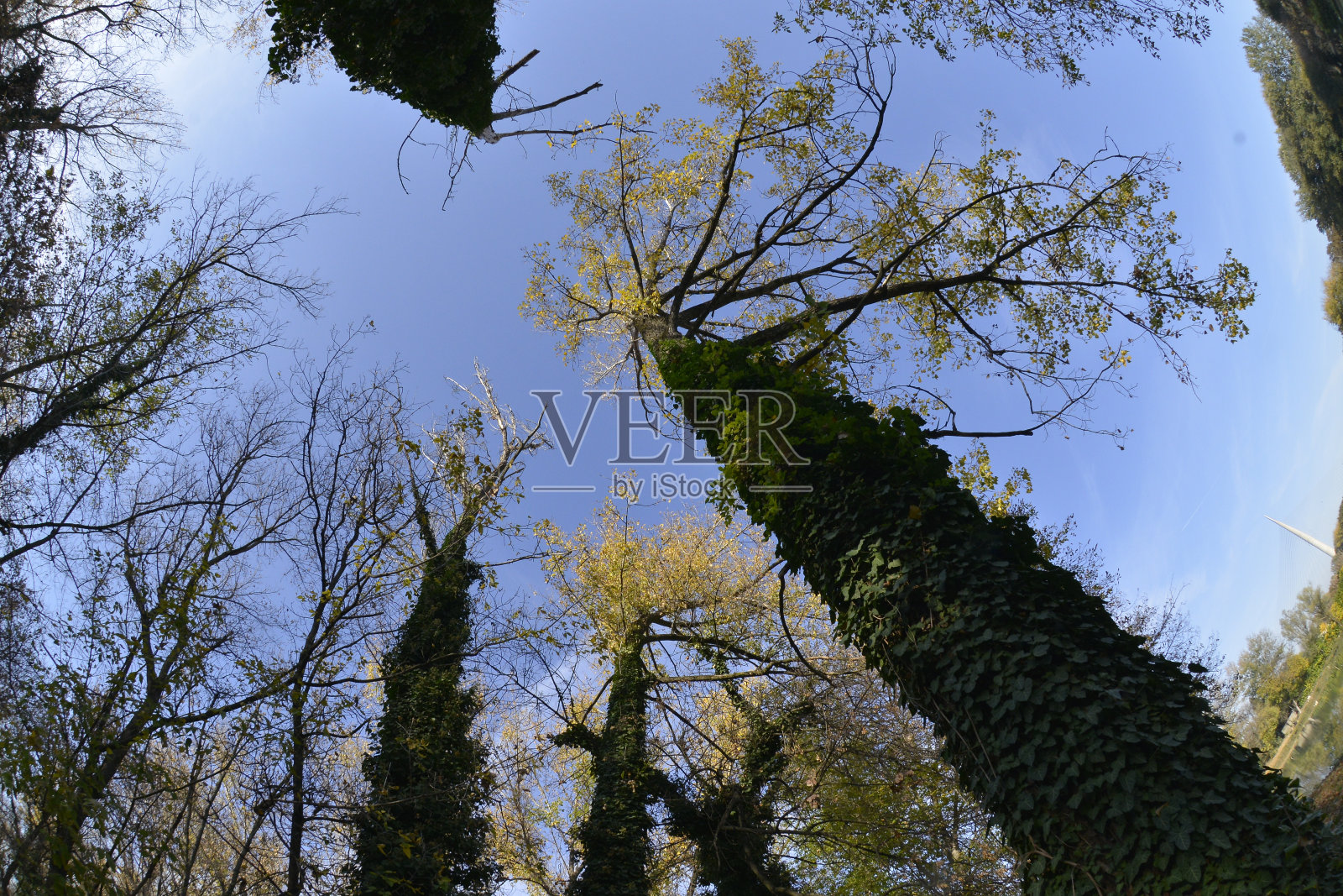 秋天照片摄影图片