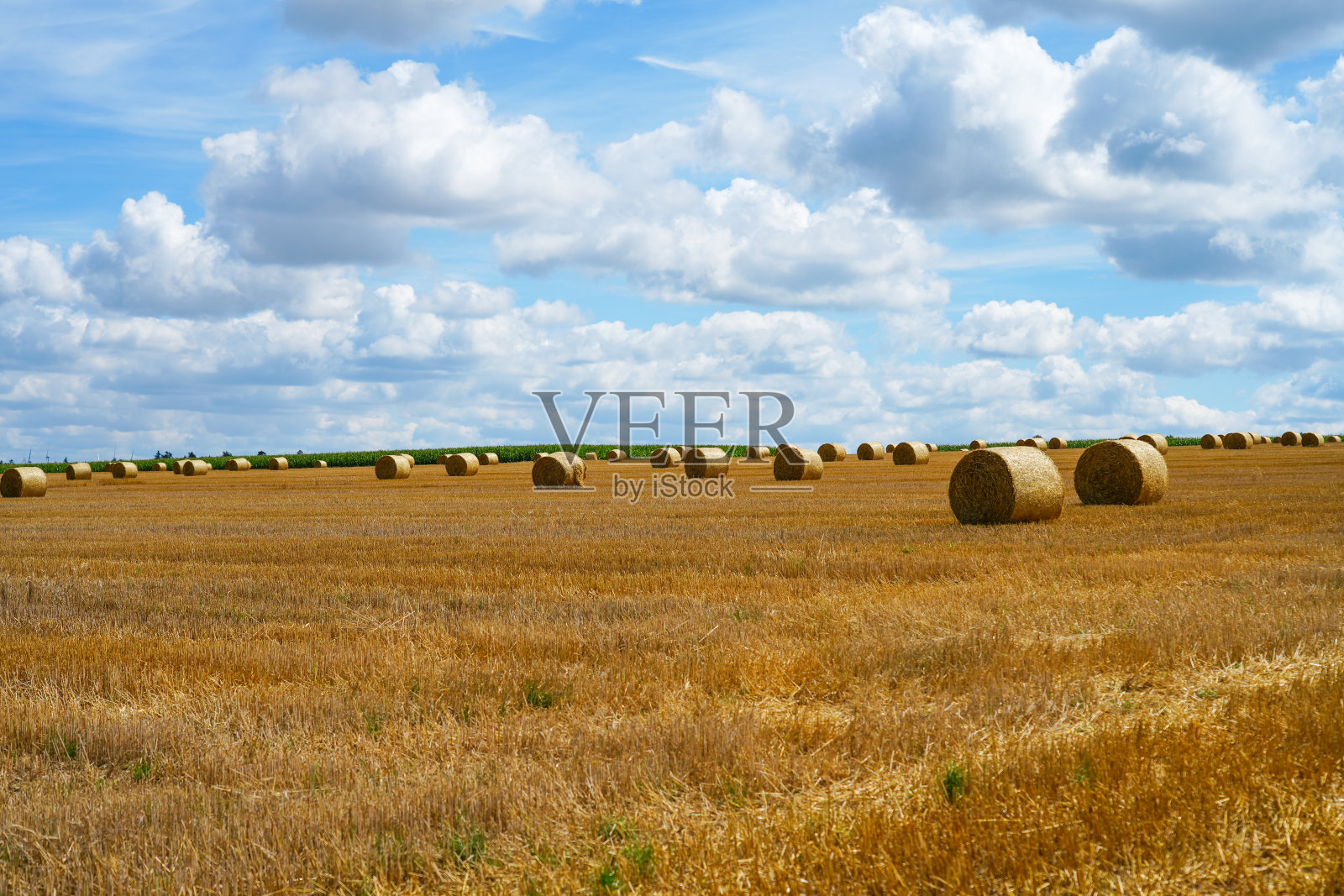 Bad附近的田地Wünnenberg。视野开阔的景观，收获后的圆捆稻草。秋天的大自然。照片摄影图片