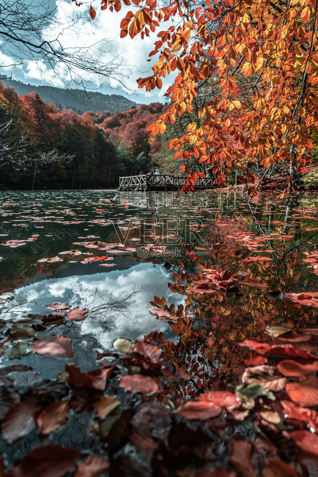 土耳其的耶迪戈勒国家公园。森林深处的秋景中，色彩斑斓的树木和步道。森林里的秋色构成了一幅壮丽的景色。大自然的秋景。照片摄影图片