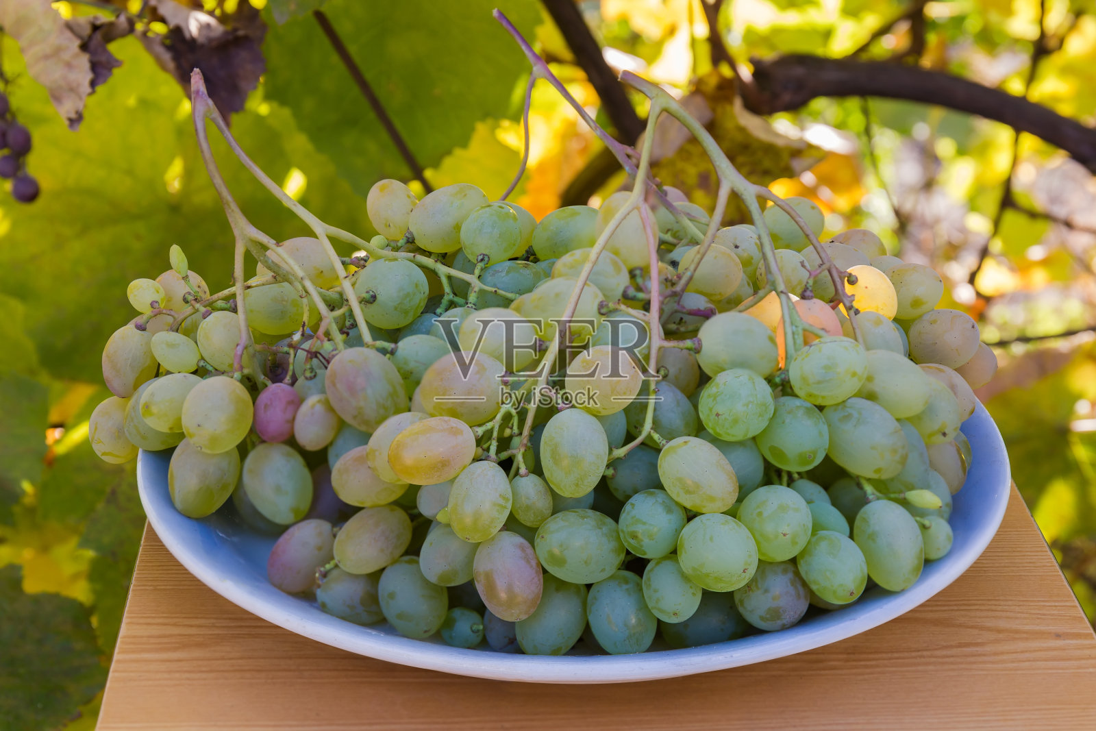 背景模糊的大盘子上一串串白葡萄照片摄影图片