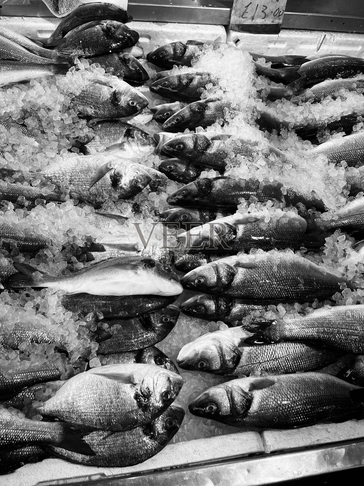 鱼市场照片摄影图片