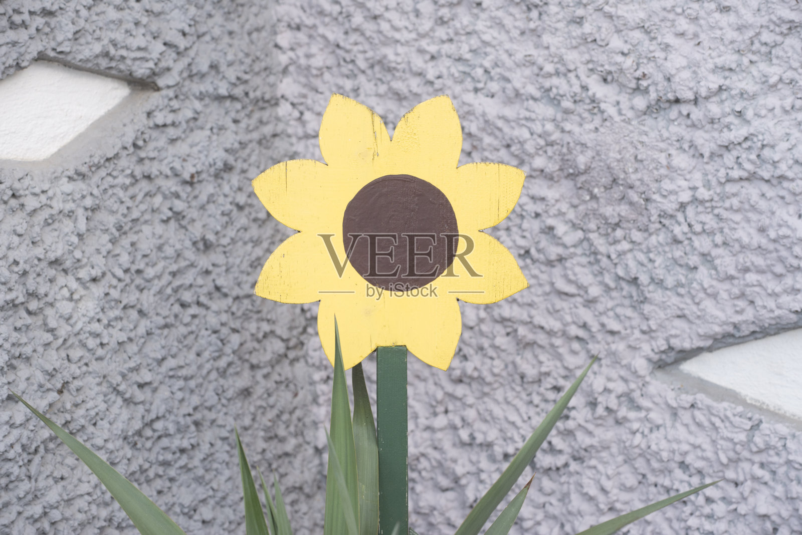 用于装饰的花朵符号照片摄影图片