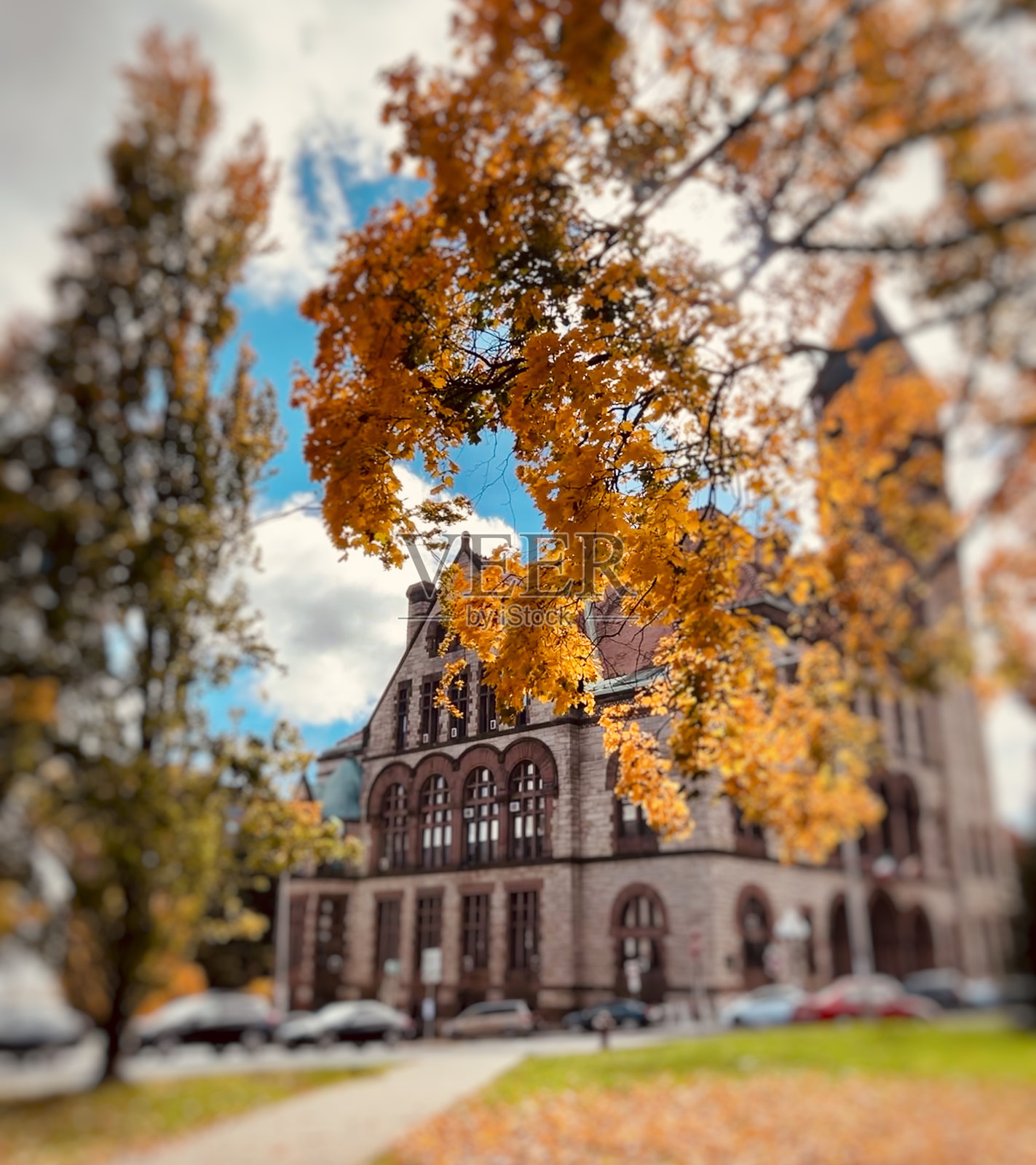 纽约州奥尔巴尼的秋天照片摄影图片