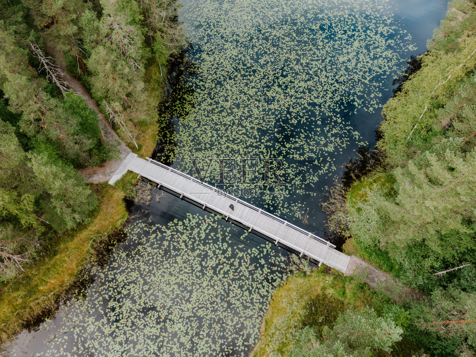 在美丽的北欧自然中远足照片摄影图片