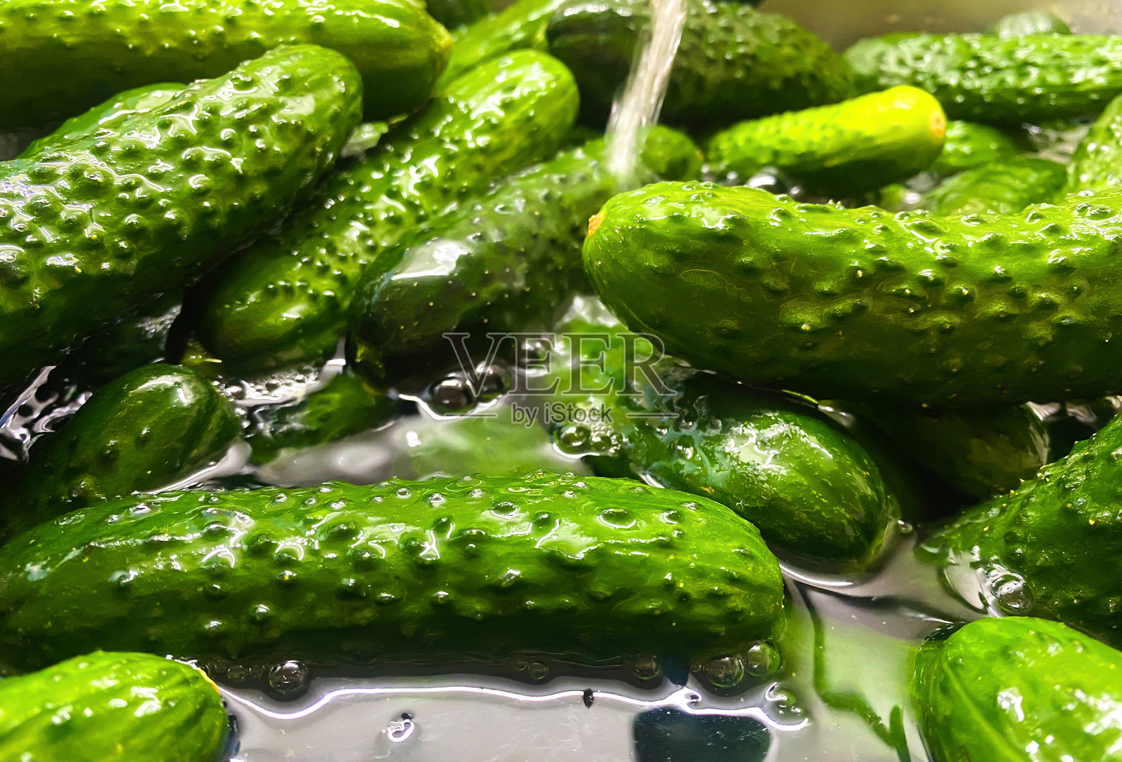 将小黄瓜放入容器中加水，或将黄瓜洗净腌制。照片摄影图片