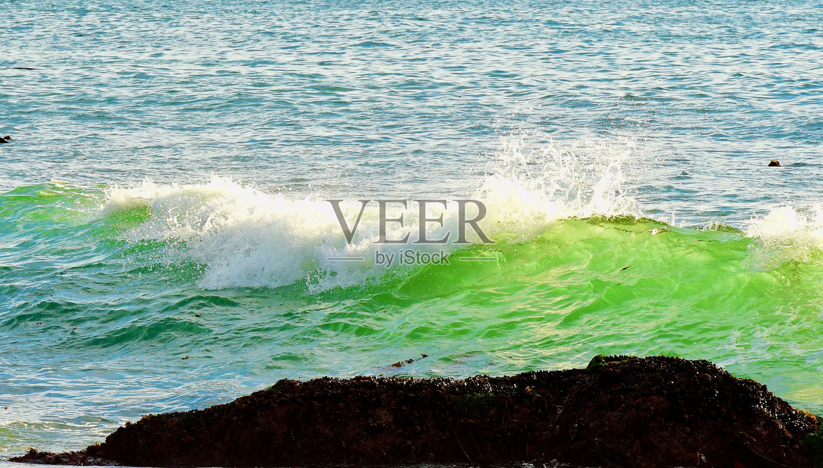 加利福尼亚中部海岸线照片摄影图片