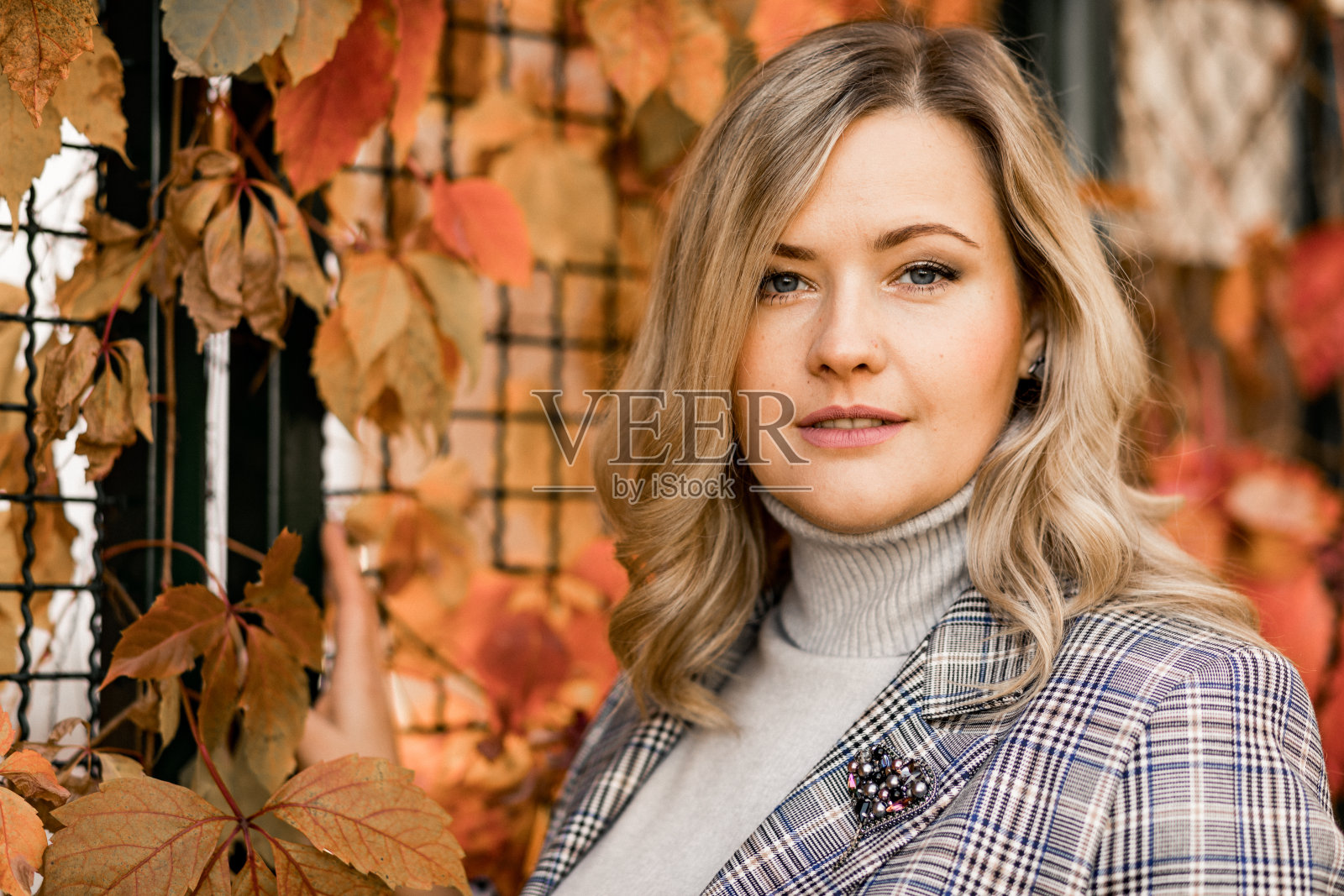 在阳光明媚的秋日，在城市花园的红叶墙边，穿着浅色的毛衣和粗花呢夹克的35-40岁的迷人金发。漂亮的女人。照片摄影图片