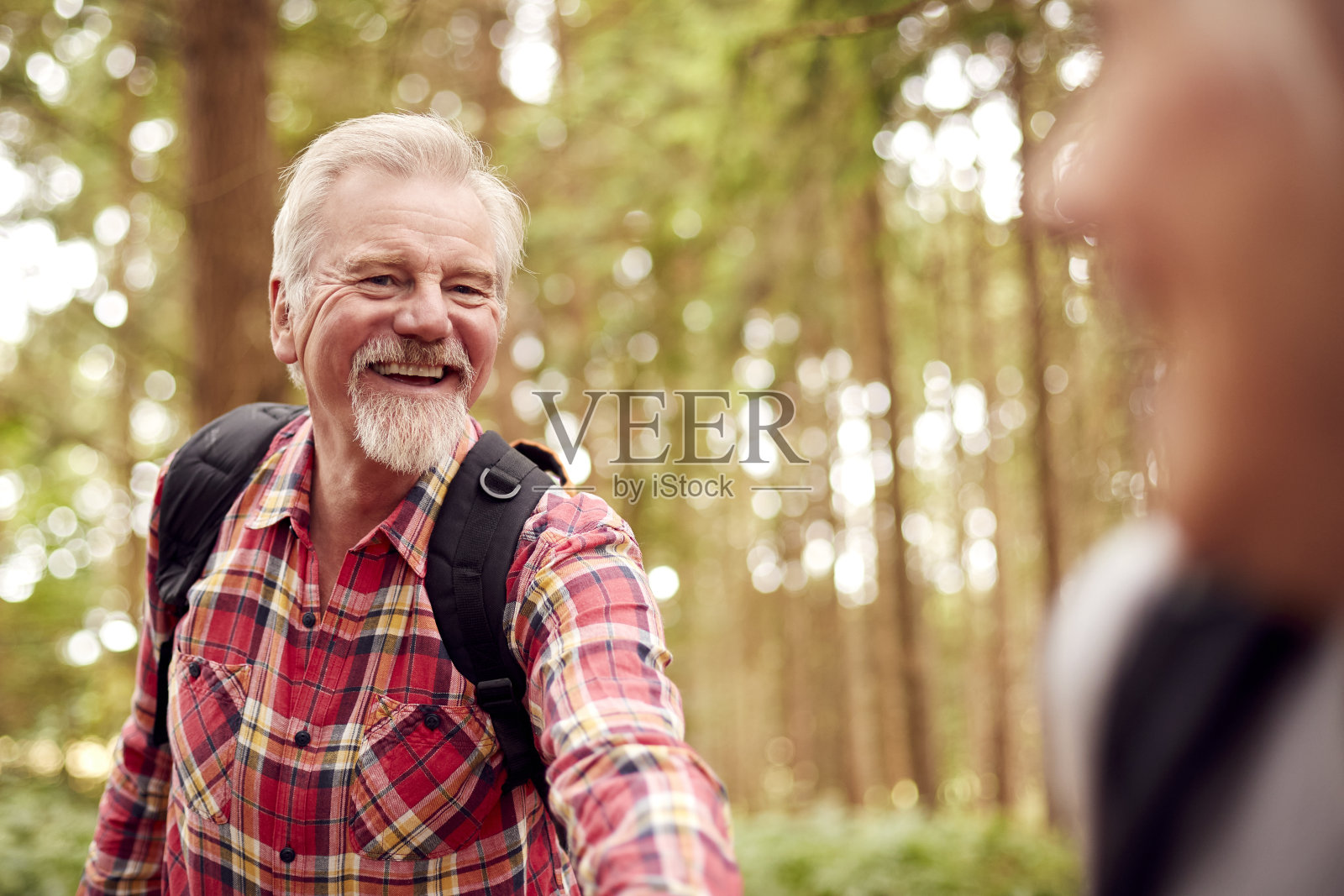一对相爱的退休老人牵手一起在林地乡间徒步旅行的特写镜头照片摄影图片