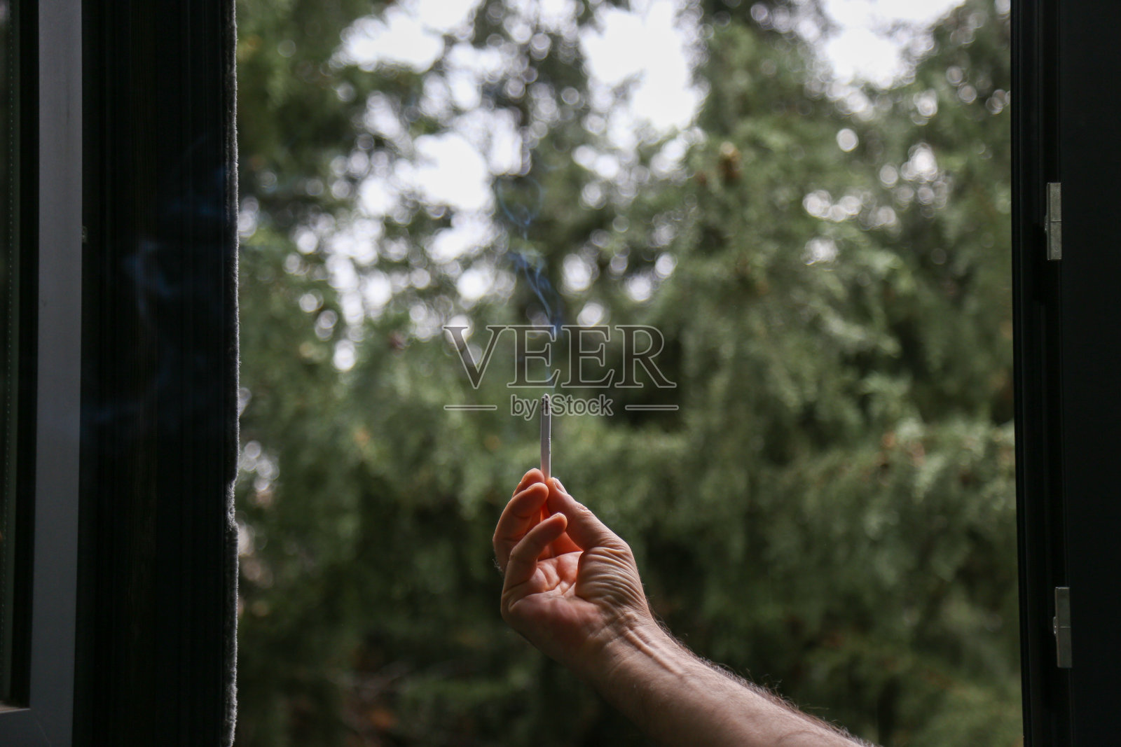 在森林背景上手里拿着Sigarette照片摄影图片