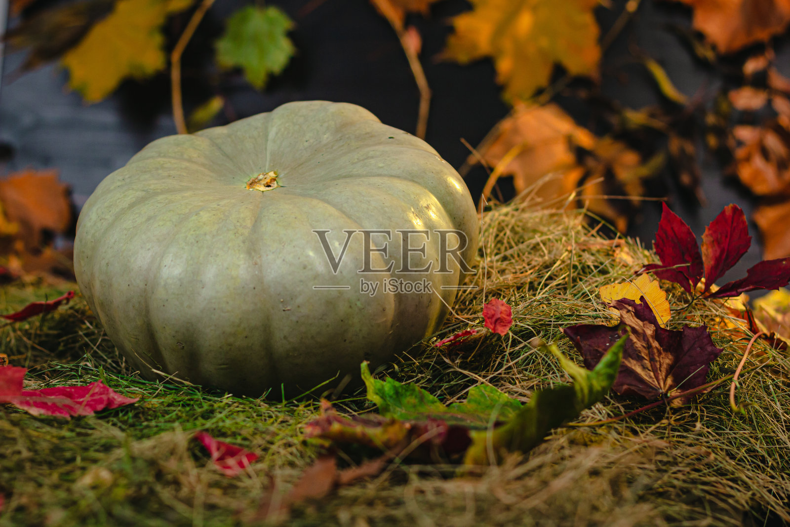 南瓜以干草和秋叶为背景照片摄影图片