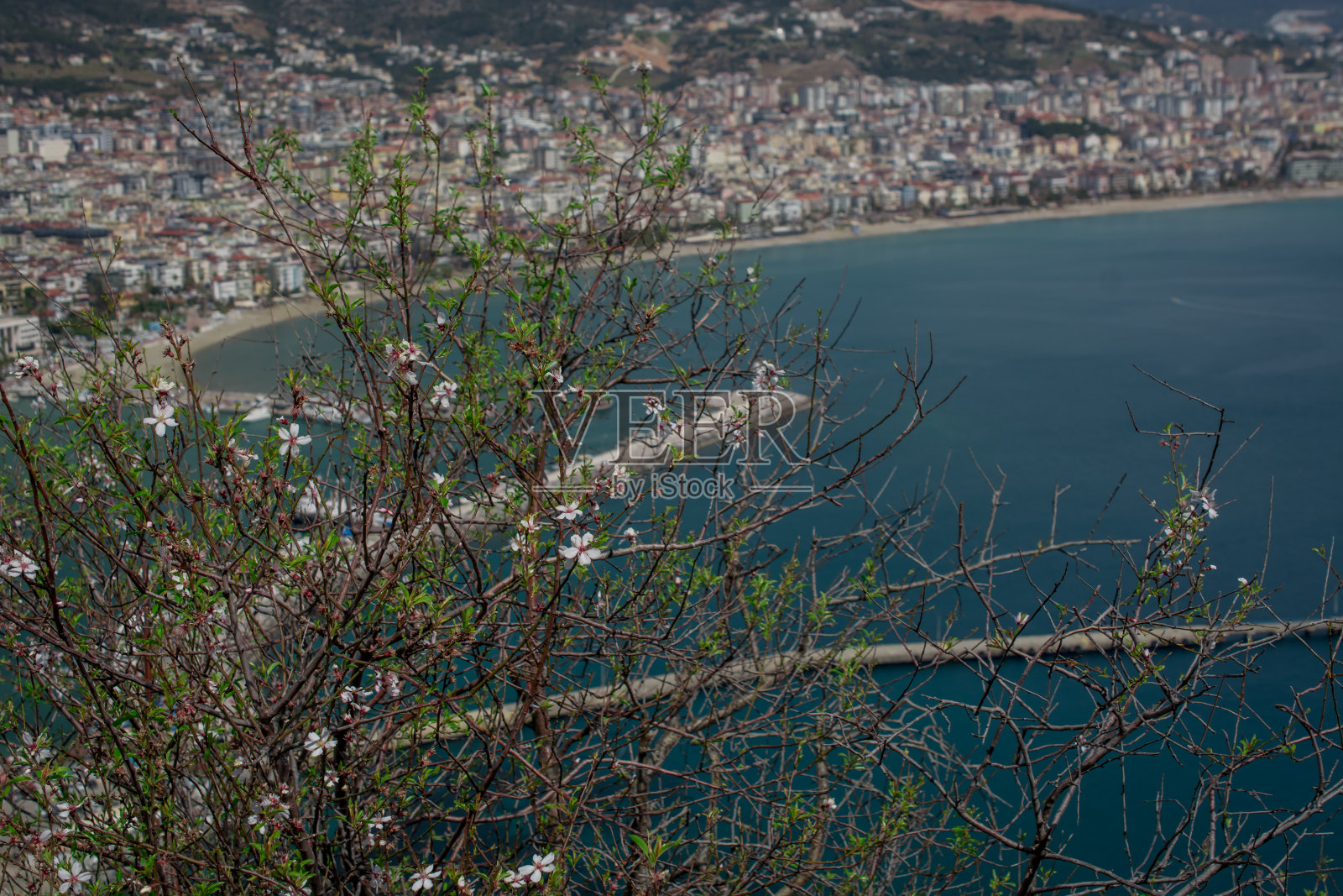 土耳其东海岸海滩度假胜地阿兰亚照片摄影图片