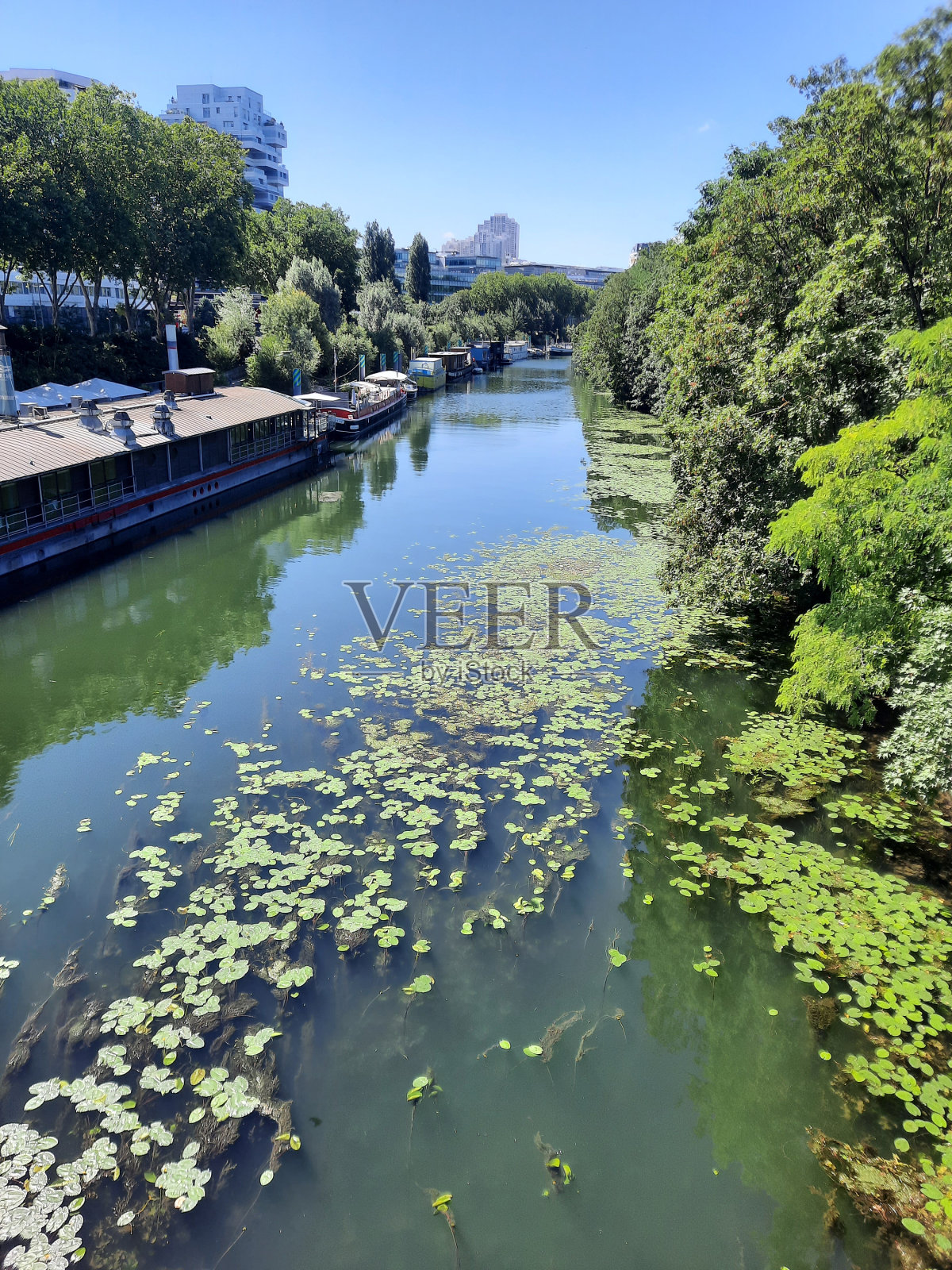 塞斯巴黎照片摄影图片