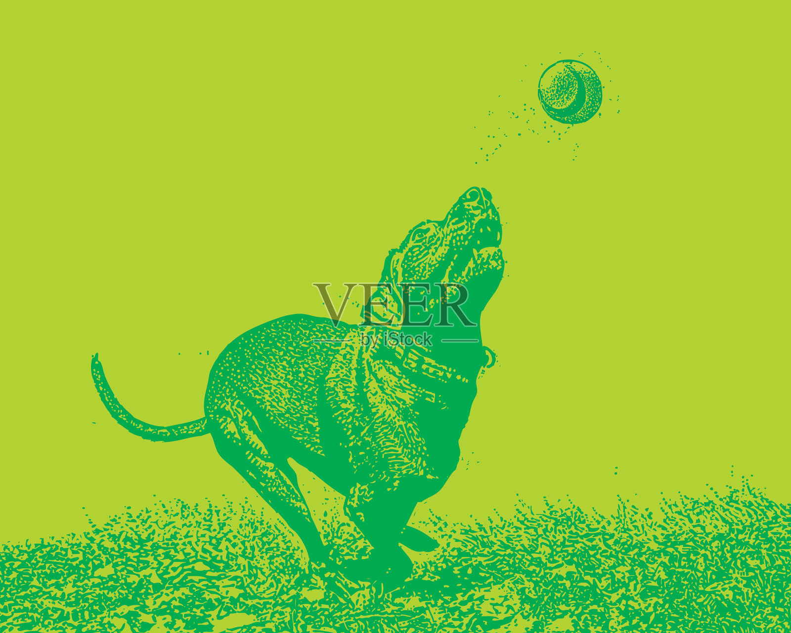 狗在追球插画图片素材